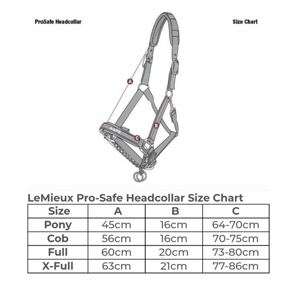 LeMieux ProSafe Headcollar & Leather Stallion Halter