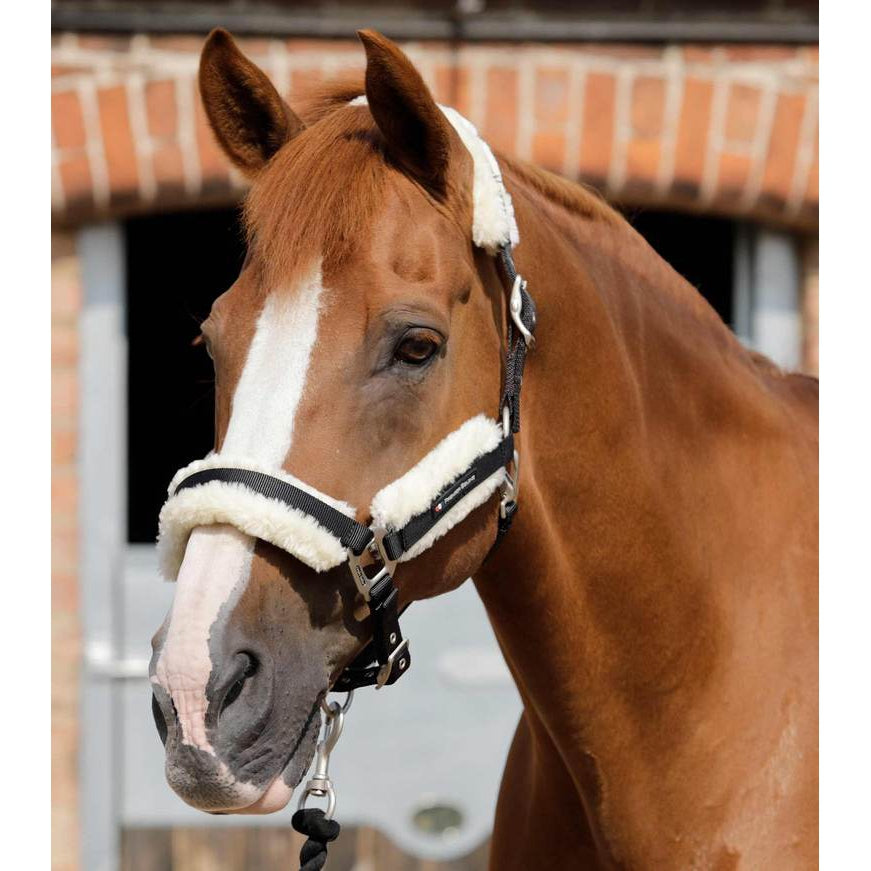 Premier Equine Techno Wool Lined Head Collar