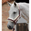 Premier Equine Techno Wool Lined Head Collar