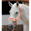 Premier Equine Techno Wool Lined Head Collar
