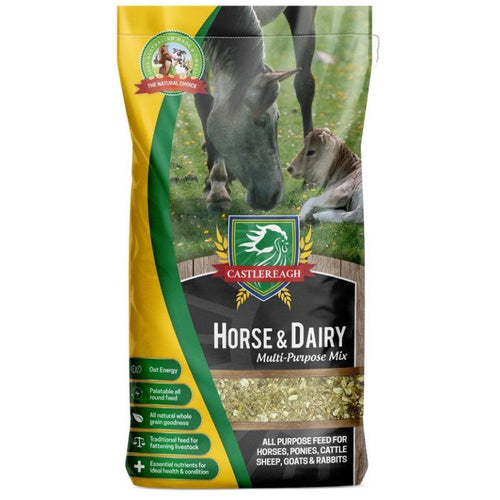 Castlereagh Horse and Dairy Mix 25kg-Horse Feed-Southern Sport Horses