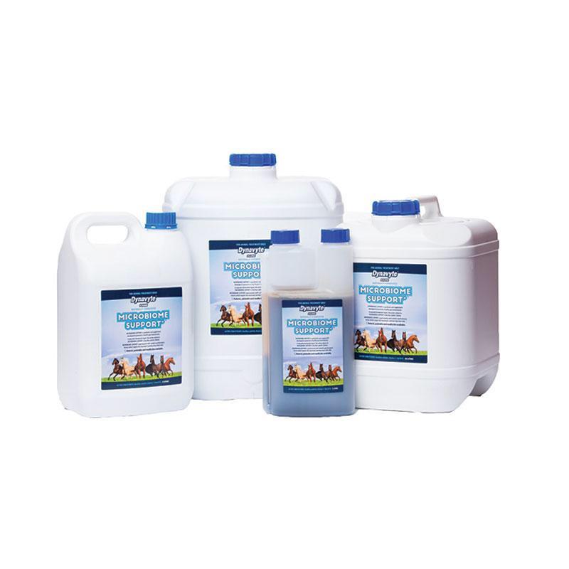 Dynavyte Microbiome Support-Southern Sport Horses