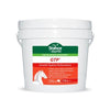 Equitec GTP-feed-Southern Sport Horses