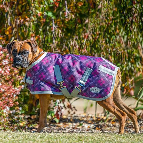 Eurohunter Thredbo Dog Rug