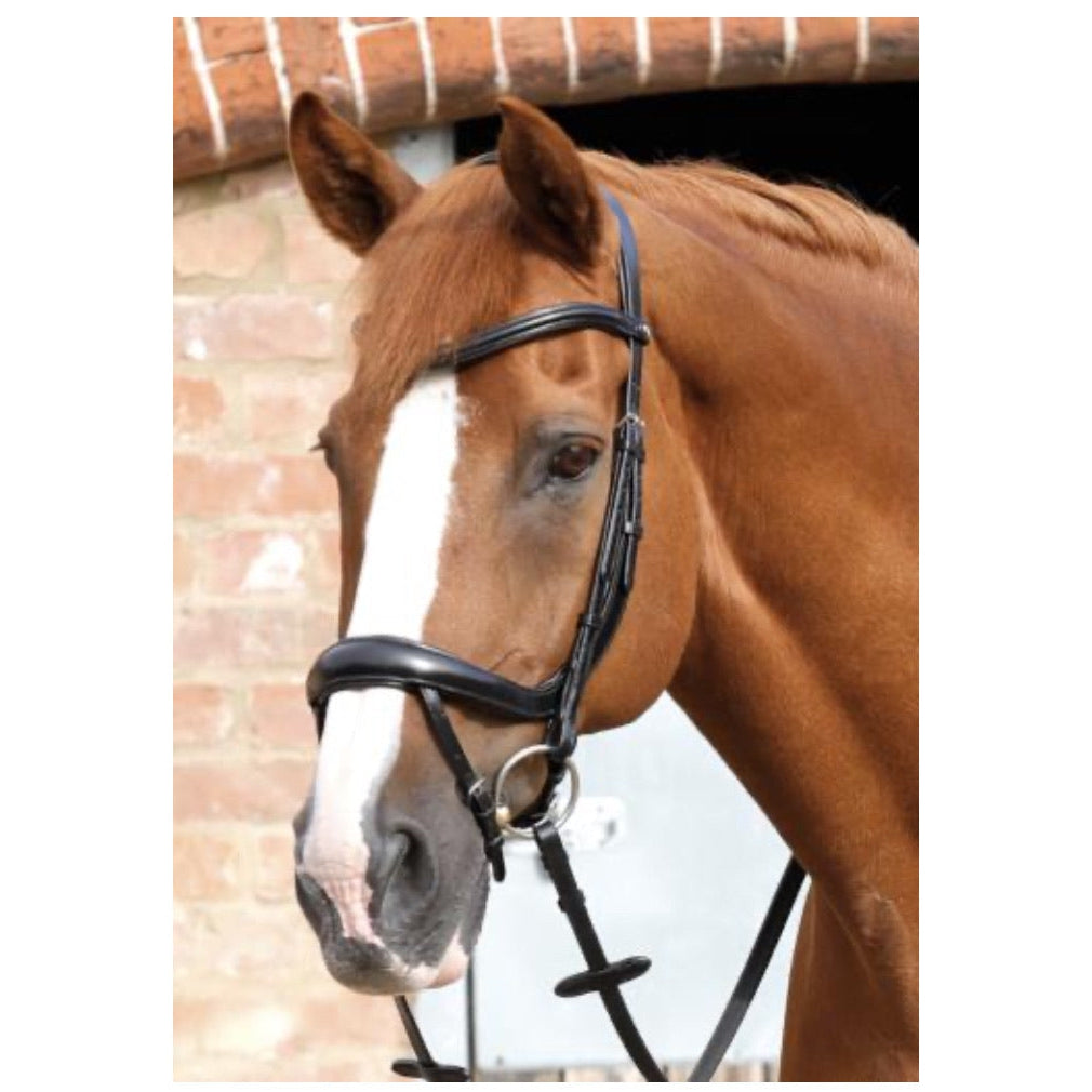 Premier Equine Savuto Anatomic Bridle with Crank Noseband & Flash