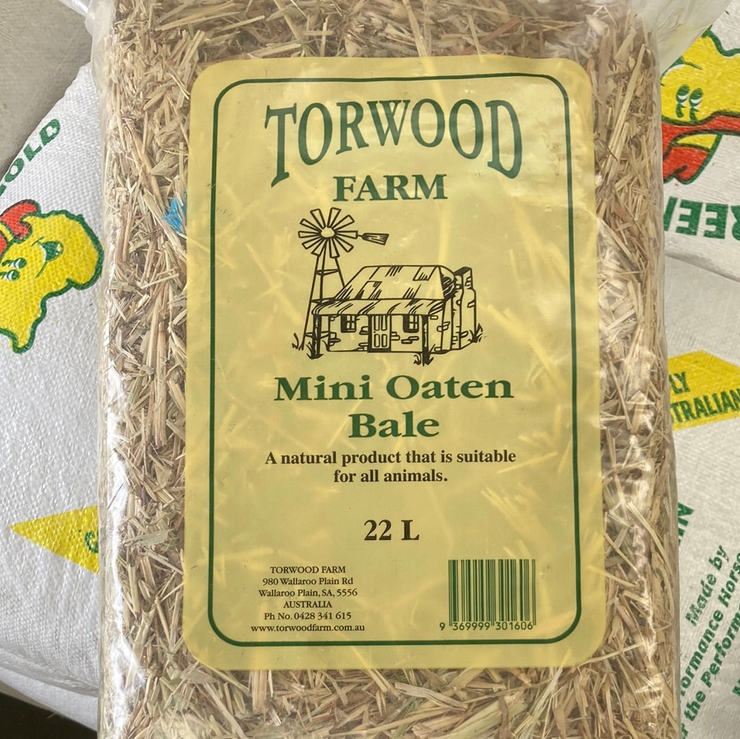 Torwood Oaten Hay - Mini Bales