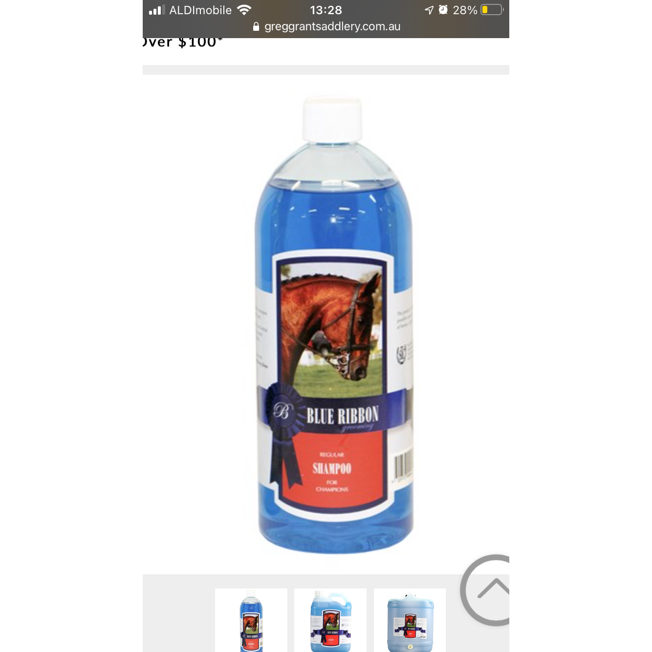 Blue Ribbon Regular Shampoo
