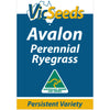 Avalon Ryegrass Seeds
