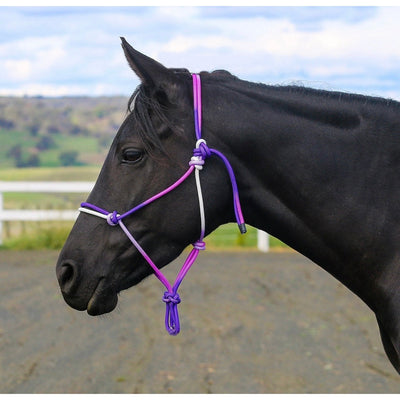 Eurohunter Ombre Rope Halter