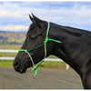 Eurohunter Ombre Rope Halter