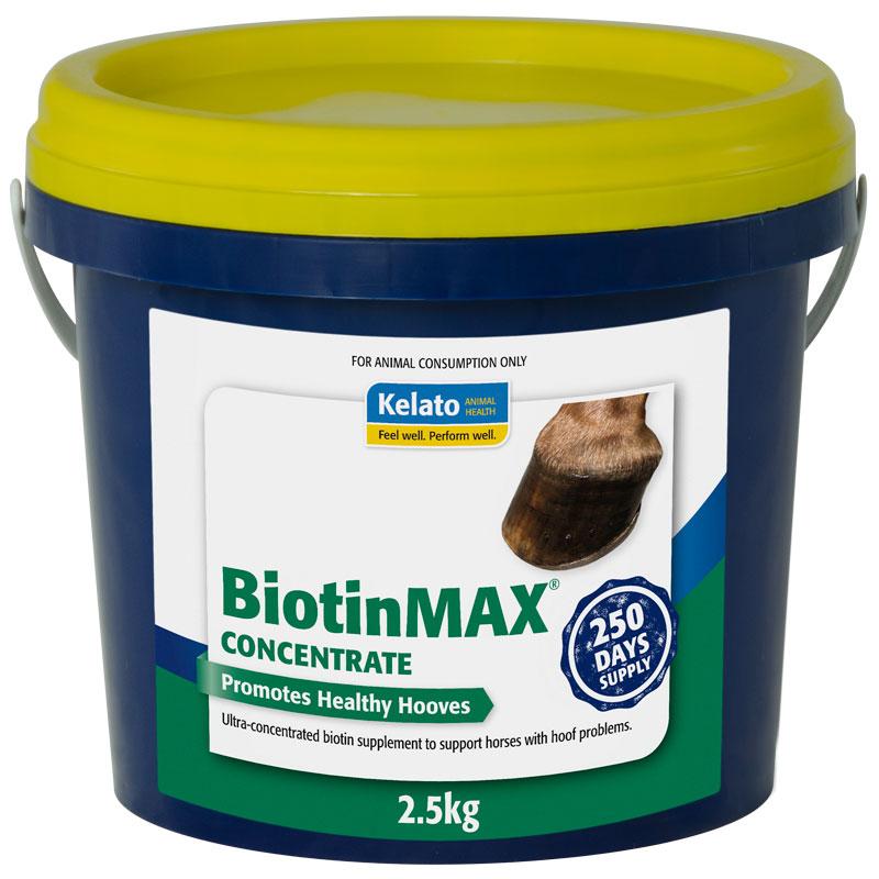 Kelato Biotin Max Concentrate-supplement-Southern Sport Horses