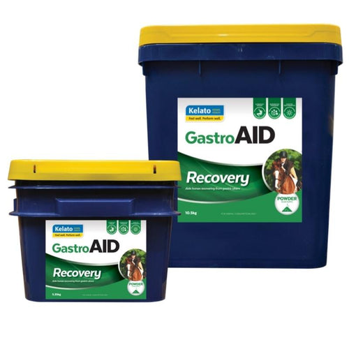 Kelato GastroAID Recovery-kelato-Southern Sport Horses