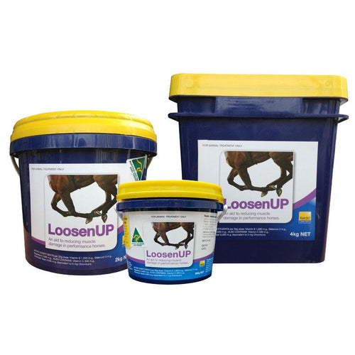 Kelato Loosenup-supplement-Southern Sport Horses