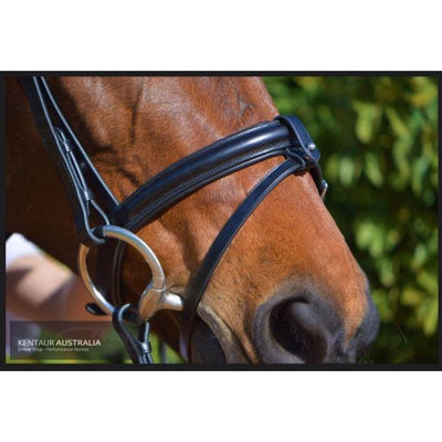 Kentaur 'Classic' Bridle with Rubber Reins-bridle-Southern Sport Horses