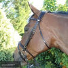 Kentaur 'Comfort Poll' Bridle-Bridle-Southern Sport Horses