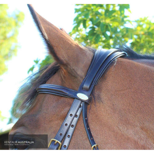 Kentaur 'Comfort Poll' Bridle-Bridle-Southern Sport Horses