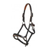 leather horse halter and head collar