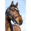 LeMieux Lasso Headcollar-LeMieux-Southern Sport Horses