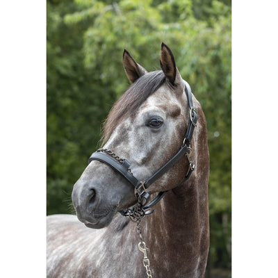 LeMieux Leather Control Headcollar-LeMieux-Southern Sport Horses