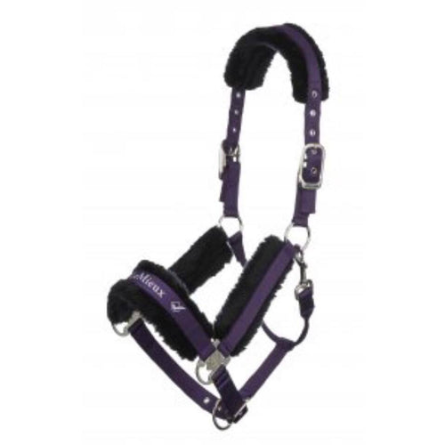 LeMieux Loire Headcollar-Halter-Southern Sport Horses