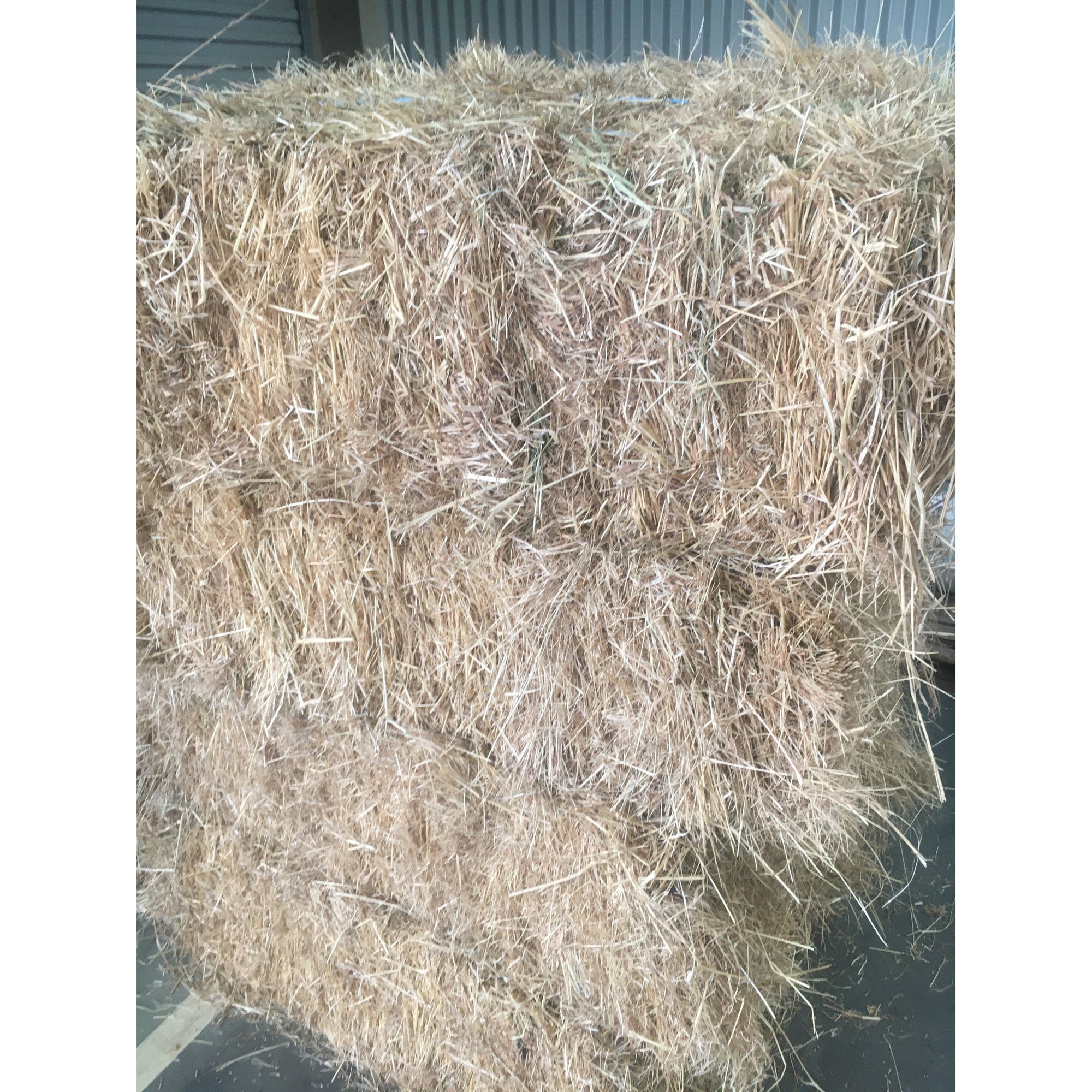 Meadow Hay-Southern Sport Horses-Southern Sport Horses