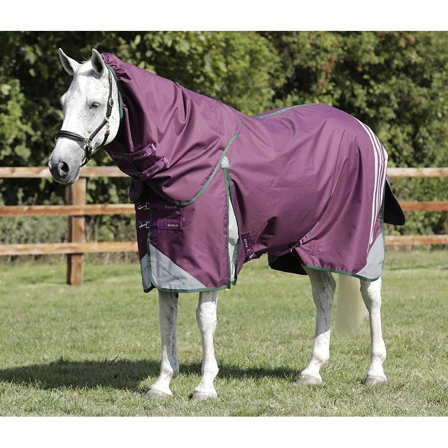 Premier Equine Lucanta Stratus 50g Turnout Rugs *PRE ORDER*-rug-Southern Sport Horses