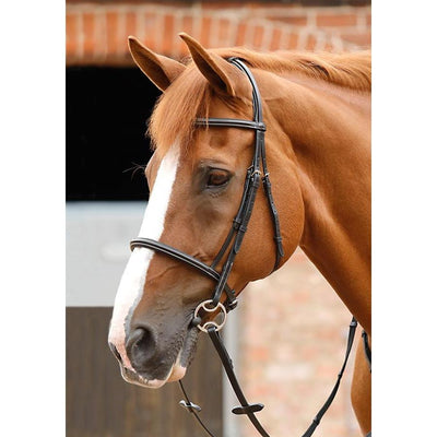 Premier Equine Mossimo Cavesson Bridle-bridle-Southern Sport Horses