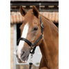 Premier Equine Plain Padded Headcollar-Premier Equine International-Southern Sport Horses
