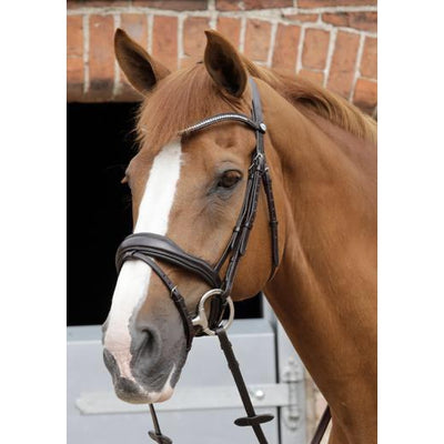 Premier Equine Stellazio Anatomic Bridle with Flash-Premier Equine International-Southern Sport Horses