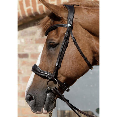 Premier Equine Verdura Anatomic Snaffle Bridle-bridle-Southern Sport Horses