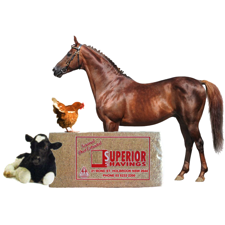 Superior Shavings Sawdust Bale 14kg-sawdust-Southern Sport Horses