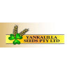 Yankalilla Seeds Cracked Maize 25kg-Horse Feed-Southern Sport Horses