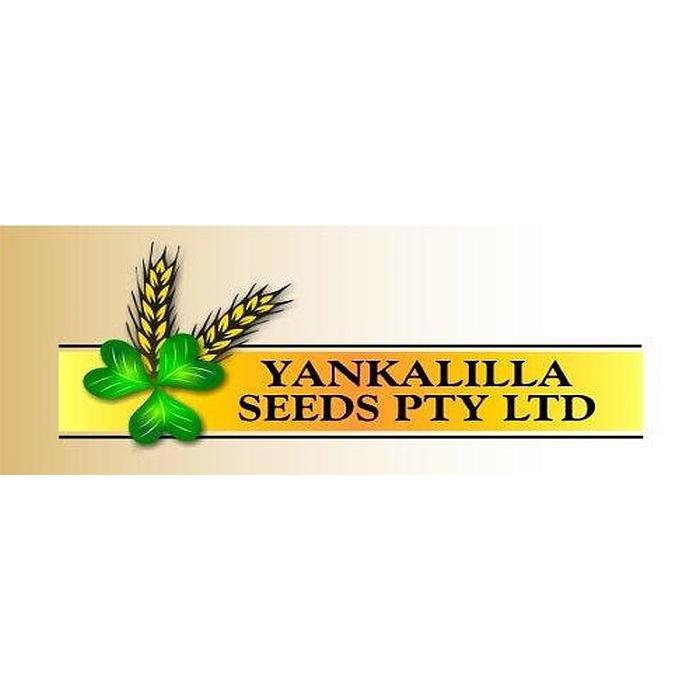 Yankalilla Seeds Cracked Oats 25kg-Horse Feed-Southern Sport Horses